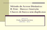 Método de Acesso Dinâmico: B-Tree - Busca e Inserção Chaves de busca sem duplicatas AULA 12 Profa. Sandra de Amo GBC053 – BCC.