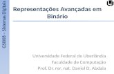 Representações Avançadas em Binário Universidade Federal de Uberlândia Faculdade de Computação Prof. Dr. rer. nat. Daniel D. Abdala GSI008 – Sistemas Digitais.