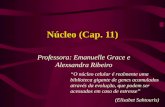 Núcleo (Cap. 11) Professora: Emanuelle Grace e Alexsandra Ribeiro O núcleo celular é realmente uma biblioteca gigante de genes acumulados através da evolução,