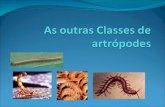 As outras Classes dos artrópodes Crustáceos Aracnídeos Quilópodes Diplópodes.