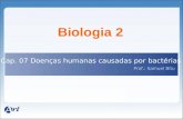 Biologia 2 Cap. 07 Doenças humanas causadas por bactérias Prof.: Samuel Bitu.