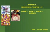 BOTÂNICA MORFOLOGIA VEGETAL II FOLHA / FLOR / FRUTO / SEMENTE PROF. VÍCTOR PESSOA.