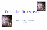 Tecido Nervoso Professor: Gurgel Filho. No tecido nervoso as células são capazes de transmitir, de forma rápida e eficiente, informações entre células.