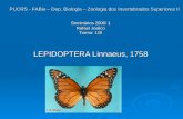 Seminários 2006/ 1 Rafael Josilco Turma: 120 LEPIDOPTERA Linnaeus, 1758 PUCRS - FABio – Dep. Biologia – Zoologia dos Invertebrados Superiores II.