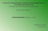 PONTIFÍCIA UNIVERSIDADE CATÓLICA DO RIO GRANDE DO SUL Faculdade de Biociências Zoologia dos Invertebrados Superiores II Seminários 2006 / 1 DERMAPTERA.