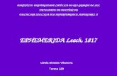 PONTIFÍCIA UNIVERSIDADE CATÓLICA DO RIO GRANDE DO SUL FACULDADE DE BIOCIÊNCIAS DISCIPLINA ZOOLOGIA DOS INVERTEBRADOS SUPERIORES II EPHEMERIDA Leach, 1817.