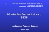 Mantodea Burmeister, 1838 Andressa Franco Soares Abril, 2006 PONTIFÍCIA UNIVERSIDADE CATÓLICA DO RIO GRANDE DO SUL FACULDADE DE BIOCIÊNCIAS ZOOLOGIA DOS.