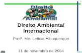 1 Direito Ambiental Internacional Profª. Me. Letícia Albuquerque 11 de novembro de 2004.
