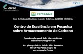 Rede de Mudanças Climáticas e Seqüestro de Carbono do CENPES - PROCLIMA Centro de Excelência em Pesquisa sobre Armazenamento de Carbono Coordenação geral: