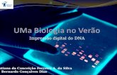 Impressão digital do DNA Cristiana da Conceição Ferreira A. da Silva Rui Bernardo Gonçalves Dias.