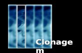 Clonagem. Clonagem: aspectos gerais; Tipos de Clonagem; Como se obtém um clone; Clonagem Reprodutiva; Clonagem Terapêutica; Questões Éticas. Índice.