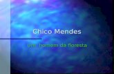 Chico Mendes Um homem da floresta Dedicamos este livro para os nossos pais, amigos, familiares, professora e funcionários que nos ajudaram neste trabalho.