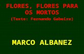 FLORES, FLORES PARA OS MORTOS (Texto: Fernando Gabeira) MARCO ALBANEZ.