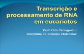 Prof. Odir Dellagostin Disciplina de Biologia Molecular.