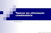 Alysson M. Costa – ICMC/USP Tópicos em otimização combinatória Introdução.