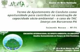 Termo de Ajustamento de Conduta como oportunidade para contribuir na construção de capacidade sócio-ambiental – o caso do TAC Imerys em Barcarena-PA Raimundo.