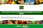 Prevenção da Encefalopatia Espongiforme Bovina (EEB) Serviço de Sanidade Agropecuária – SEDESA Superintendência Federal de Agricultura no Estado de São.