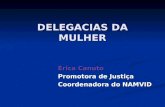 DELEGACIAS DA MULHER Érica Canuto Promotora de Justiça Coordenadora do NAMVID.