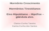 Hormônio Crescimento Hormônios Tireoidianos Eixo Hipotálamo – Hipófise – glândula alvo. Clarice Cunha Taveira Karina Cunha dos Santos