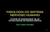 1 FISIOLOGIA DO SISTEMA NERVOSO HUMANO Controle do funcionamento do ser humano através de impulsos elétricos Prof. Adair Carvalho.