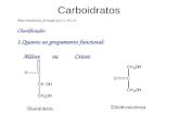 Carboidratos Macromolécula formada por C, H e O. Classificação: 1.Quanto ao grupamento funcional: Aldose ou Cetose.