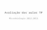 Avaliação das aulas TP Microbiologia 2012-2013. Questões -TC 1.Quais as moléculas salivares identificadas como responsáveis pela adesão de streptococci.