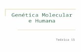 Genética Molecular e Humana Teórica 15. 05/mai/2014 Genética Molecular e Humana MJC Sumário: Métodos de Análise de Genes e seus Produtos Eletroforese.