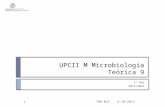 UPCII M Microbiologia Teórica 9 2º Ano 2013/2014 2-10-2013T09-MJC1.
