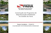 Yvens Cordeiro – SEMA/Pa Coordenador de Ordenamento Ambiental Construção do Programa de Regularização Ambiental no Estado do Pará.