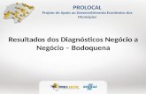 PROLOCAL Projeto de Apoio ao Desenvolvimento Econômico dos Municípios Resultados dos Diagnósticos Negócio a Negócio – Bodoquena.