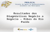 PROLOCAL Projeto de Apoio ao Desenvolvimento Econômico dos Municípios Resultados dos Diagnósticos Negócio a Negócio – Ribas do Rio Pardo.
