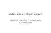 Instituições e Organizações ZEB0312 – Análise Econômica da Agropecuária.
