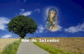 Mãe do Salvador O nome Jesus significa Deus salva. O Evangelho de Mateus diz que um anjo apareceu em sonho a José e disse: José,Filho de Davi, não tenhas.