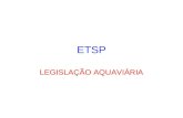 ETSP LEGISLAÇÃO AQUAVIÁRIA CONSTITUIÇÃO DA MARINHA MERCANTE -A importância da Marinha Mercante -Classificação da Navegação -Classificação das Embarcações.