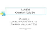 UABVI Comunicação 1ª sessão 26 de fevereiro de 2014 5 e 6 de março de 2014 Maria Filomena Capucho - UCP.