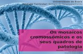 Os mosaicos cromossómicos e os seus quadros de patologia Universidade de Évora Unidade Curricular: Biologia do Desenvolvimento Docente: Paulo de Oliveira.