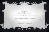 HISTÓRIA DA LÍNGUA PORTUGUESA Fenómenos da Evolução Fonética da Língua Portuguesa.