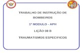TRABALHO DE INSTRUÇÃO DE BOMBEIROS 1º MODULO - APH LIÇÃO 08 B TRAUMATISMOS ESPECIFICOS.