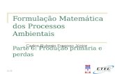 11:11 Formulação Matemática dos Processos Ambientais Parte 6: Produção primária e perdas Carlos Ruberto Fragoso Júnior.