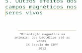 5. Outros efeitos dos campos magnéticos nos seres vivos Orientação magnética em animais: das bactérias até as vacas IX Escola do CBPF 2012.