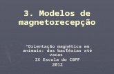 3. Modelos de magnetorecepção Orientação magnética em animais: das bactérias até vacas IX Escola do CBPF 2012.