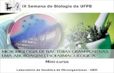 Microbiologia de Bactérias Gram-positivas: Uma Abordagem Etnofarmacológica IX Semana de Biologia da UFPB Mini-curso Laboratório de Genética de Microrganismos.