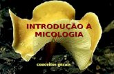 INTRODUÇÃO À MICOLOGIA conceitos gerais. O que é Micologia É a ciência que estuda os fungos(Eumycota) Sinonímia: cogumelos, micetos, mofo, bolor, hongo,