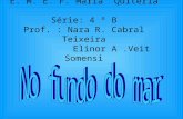 E. M. E. F. Maria Quitéria Série: 4 º B Prof. : Nara R. Cabral Teixeira Elinor A.Veit Somensi.
