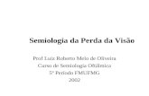 Semiologia da Perda da Visão Prof Luiz Roberto Melo de Oliveira Curso de Semiologia Oftálmica 5º Período FMUFMG 2002.