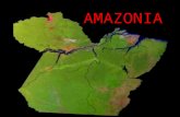 AMAZONIA. A Região Norte possui 15.023.331 habitantes, 7% da população total do país. Sua densidade demográfica é a mais baixa entre todas as regiões.