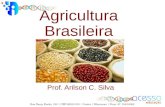 Agricultura Brasileira Prof. Arilson C. Silva. Características gerais Solos férteis (terra roxa e Massapé) Pluviosidade acima de 1000.mm Topografia plana.