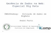 Gerência de Dados na Web: Especial Big Data ONDUXHadoop: Extração de dados em BigData Universidade Federal do Amazonas Instituto de Computação André Porto.