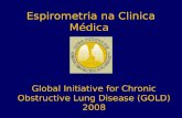 Espirometria na Clinica Médica Global Initiative for Chronic Obstructive Lung Disease (GOLD) 2008.