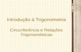 Introdução à Trigonometria Circunferência e Relações Trigonométricas.